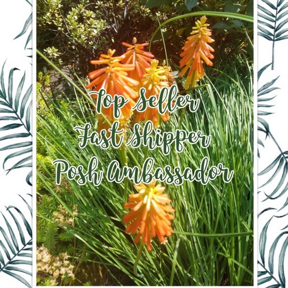 Exercise Leggings, Bright Colors on the Legs - Picture 12 of 16